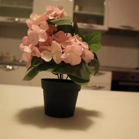 Holiday Home Zadar Holiday home *